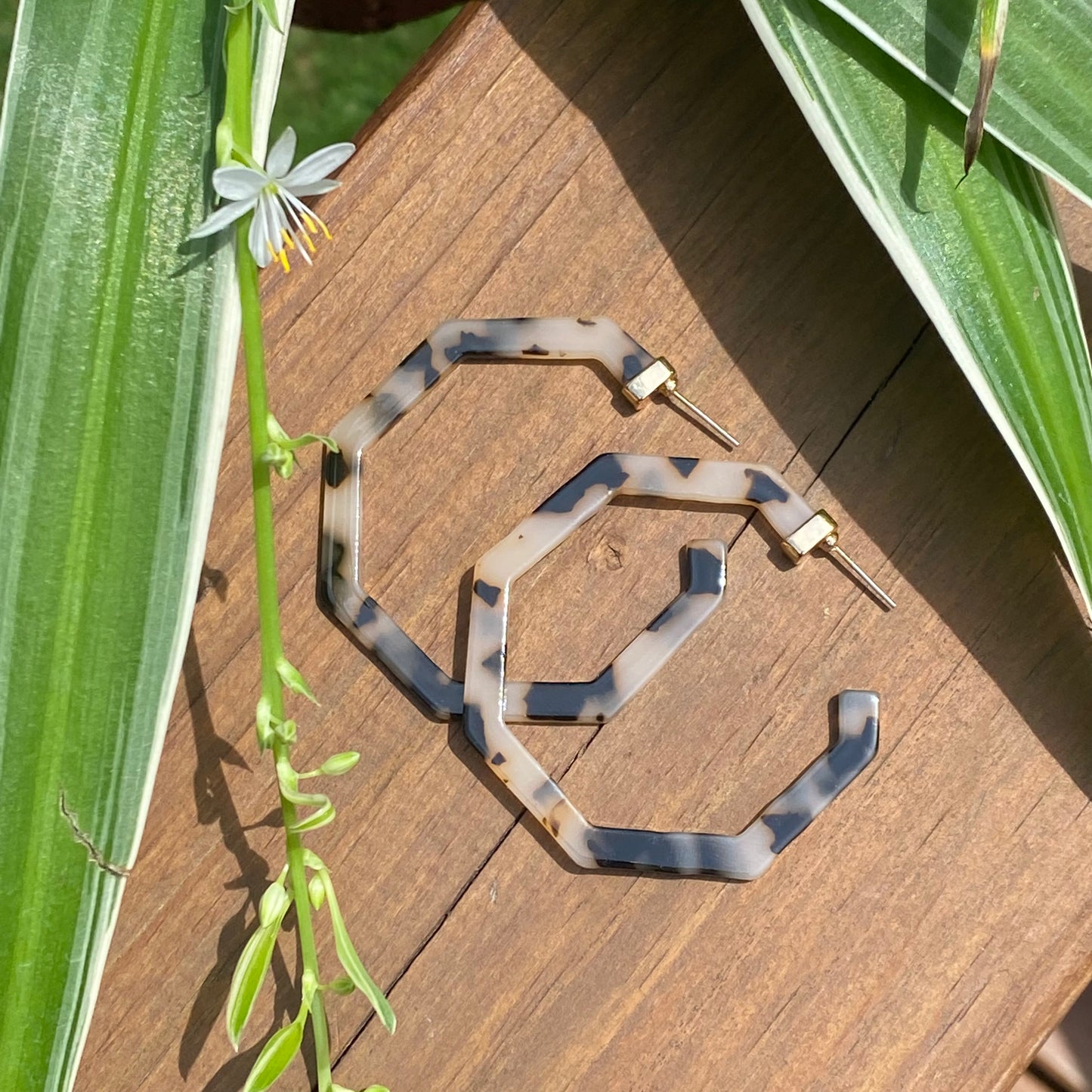 Tortoise Hoops
